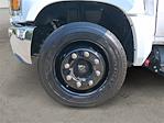 2024 Chevrolet Silverado 5500 Crew Cab DRW RWD Scelzi Service Truck for sale #V12725 - photo 13