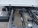 2025 Chevrolet LCF 5500XD Crew Cab RWD Cab Chassis for sale #V12850 - photo 17