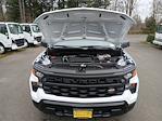 2025 Chevrolet Silverado 1500 Regular Cab 4x4 Pickup for sale #V12873 - photo 17