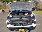 2025 Chevrolet Silverado 1500 Double Cab 4x4 Pickup for sale #V12923 - photo 16