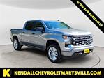 2025 Chevrolet Silverado 1500 Crew Cab 4x4 Pickup for sale #V13050 - photo 7
