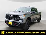 2025 Chevrolet Silverado 1500 Crew Cab 4x4 Pickup for sale #V13051 - photo 1