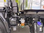 2025 Chevrolet LCF 4500XD Regular Cab RWD Summit Truck Body Box Truck for sale #V13087 - photo 17