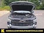 2025 Chevrolet Silverado 1500 Crew Cab 4x4 Pickup for sale #V13103 - photo 17