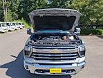 2025 Chevrolet Silverado 3500 Crew Cab 4x4 Pickup for sale #V13107 - photo 41