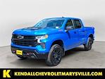 2025 Chevrolet Silverado 1500 Crew Cab 4x4 Pickup for sale #V13151 - photo 1
