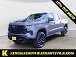 2025 Chevrolet Silverado 1500 Crew Cab 4x4 Pickup for sale #V13226 - photo 1