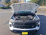 2025 Chevrolet Silverado 1500 Regular Cab 4x4 Pickup for sale #V13434 - photo 17