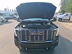 2024 GMC Sierra 3500 Crew Cab 4x4 Pickup for sale #VAB7385 - photo 17