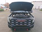 2024 GMC Sierra 3500 Crew Cab 4WD Pickup for sale #VAB7607 - photo 17