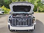 2024 GMC Sierra 3500 Crew Cab 4x4 Pickup for sale #VTS1156 - photo 17