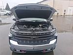 2019 Chevrolet Silverado 1500 Double Cab 4WD Pickup for sale #VTS2356B - photo 17