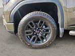 2023 GMC Sierra 1500 Crew Cab 4x4 Pickup for sale #VTS2363 - photo 14