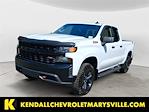 2019 Chevrolet Silverado 1500 Double Cab 4x4 Pickup for sale #VTS2446 - photo 1