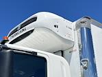 New 2025 Isuzu FVR Refrigerated Body for sale #5SSB02155 - photo 23