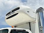 New 2024 Isuzu NRR Morgan Truck Body Refrigerated Body for sale #NRRDSL20FTKT89050 - photo 6
