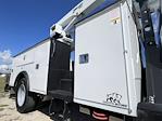 New 2025 Ford F-600 Regular Cab 4x4 Cab Chassis for sale #XSDA13895 - photo 14