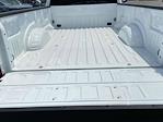 2024 Ford F-250 Regular Cab 4x2 Pickup for sale #H2125 - photo 23