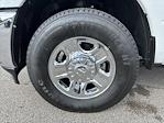 New 2024 Ram 3500 Tradesman Crew Cab Pickup for sale #804416 - photo 11
