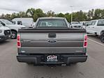 2013 Ford F-150 Regular Cab RWD Pickup for sale #DFD03550T - photo 4