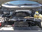 2014 Ford F-150 SuperCrew Cab 4WD Pickup for sale #EFC11109T - photo 29