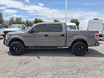 2014 Ford F-150 SuperCrew Cab 4WD Pickup for sale #EKD26618TA - photo 6