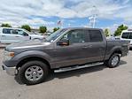 2014 Ford F-150 SuperCrew Cab 4WD Pickup for sale #EKG08934TA - photo 6