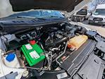 2018 Ford F-150 SuperCrew Cab 4WD Pickup for sale #JKC82527T - photo 30