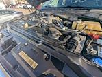 2020 Ford F-350 Crew Cab SRW 4WD Pickup for sale #LED13893TA - photo 28