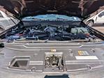 2020 Ford F-350 Crew Cab SRW 4WD Pickup for sale #LEE01433W - photo 32
