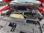 2020 Ford F-150 SuperCrew Cab 4WD Pickup for sale #LFB31809T - photo 27