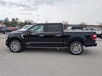 2021 Ford F-150 SuperCrew Cab 4WD Pickup for sale #MFA93501W - photo 6