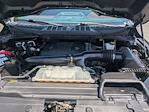 2021 Ford F-150 SuperCrew Cab 4WD Pickup for sale #MFC56705W - photo 33