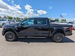 2021 Ford F-150 SuperCrew Cab 4WD Pickup for sale #MFC63333TB - photo 6