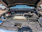 2021 Ford F-150 SuperCrew Cab 4WD Pickup for sale #MKD43098W - photo 31