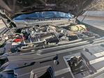 2022 Ford F-350 Crew Cab SRW 4WD Pickup for sale #NEC50729T - photo 29
