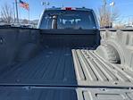 2022 Ford F-350 Crew Cab SRW 4WD Pickup for sale #NEG05627T - photo 29