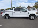 2022 Ford F-150 SuperCrew Cab 4WD Pickup for sale #NFB79817W - photo 13
