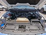 2022 Ford F-150 SuperCrew Cab 4WD Pickup for sale #NFC05280W - photo 31