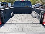 2023 Ford F-350 Crew Cab SRW 4WD Pickup for sale #PEC75163W - photo 29