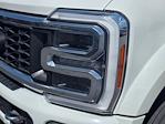 2023 Ford F-450 Crew Cab DRW 4WD Pickup for sale #PED09472T - photo 20