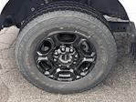 2023 Ford F-350 Regular Cab SRW 4WD Pickup for sale #PED82164T - photo 10