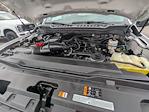 2023 Ford F-350 Regular Cab SRW 4WD Pickup for sale #PED82164T - photo 25