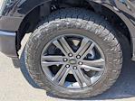 2023 Ford F-150 SuperCrew Cab 4WD Pickup for sale #PFA09848T - photo 10