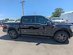 2023 Ford F-150 SuperCrew Cab 4WD Pickup for sale #PFA09848T - photo 3