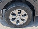 2023 Ford F-150 SuperCrew Cab 4WD Pickup for sale #PFA33048W - photo 10