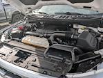 2023 Ford F-150 SuperCrew Cab 4WD Pickup for sale #PFB55678W - photo 29