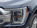 2023 Ford F-150 SuperCrew Cab 4WD Pickup for sale #PFB56333W - photo 8