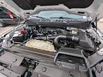 2023 Ford F-150 SuperCrew Cab 4WD Pickup for sale #PFB58244W - photo 31