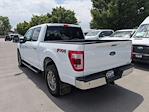 2023 Ford F-150 SuperCrew Cab 4WD Pickup for sale #PFB85230W - photo 3